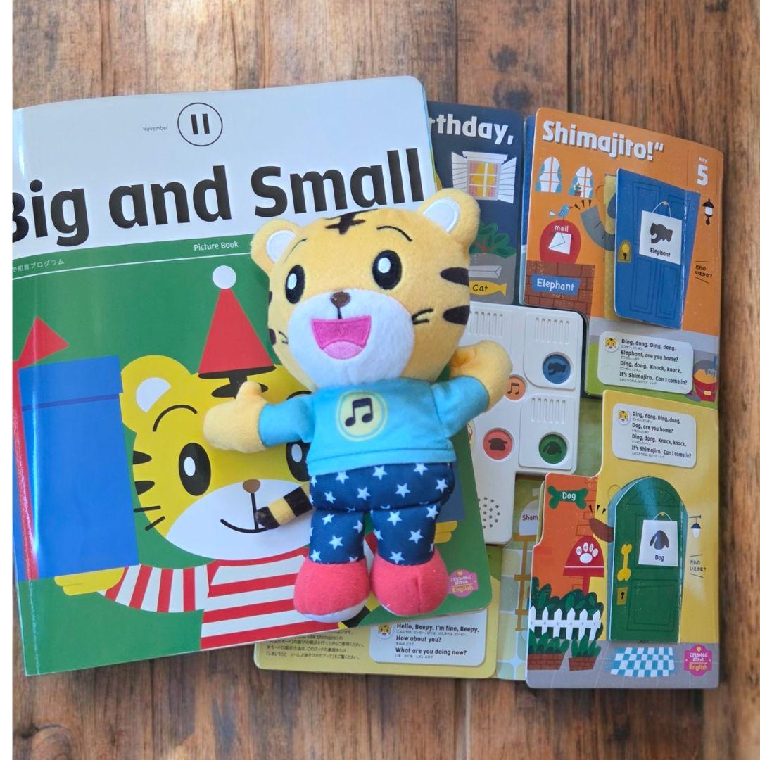 値下【豪華おまけ】ワールドワイドキッズ　フォニックス教材セット 超メルカリ市価格