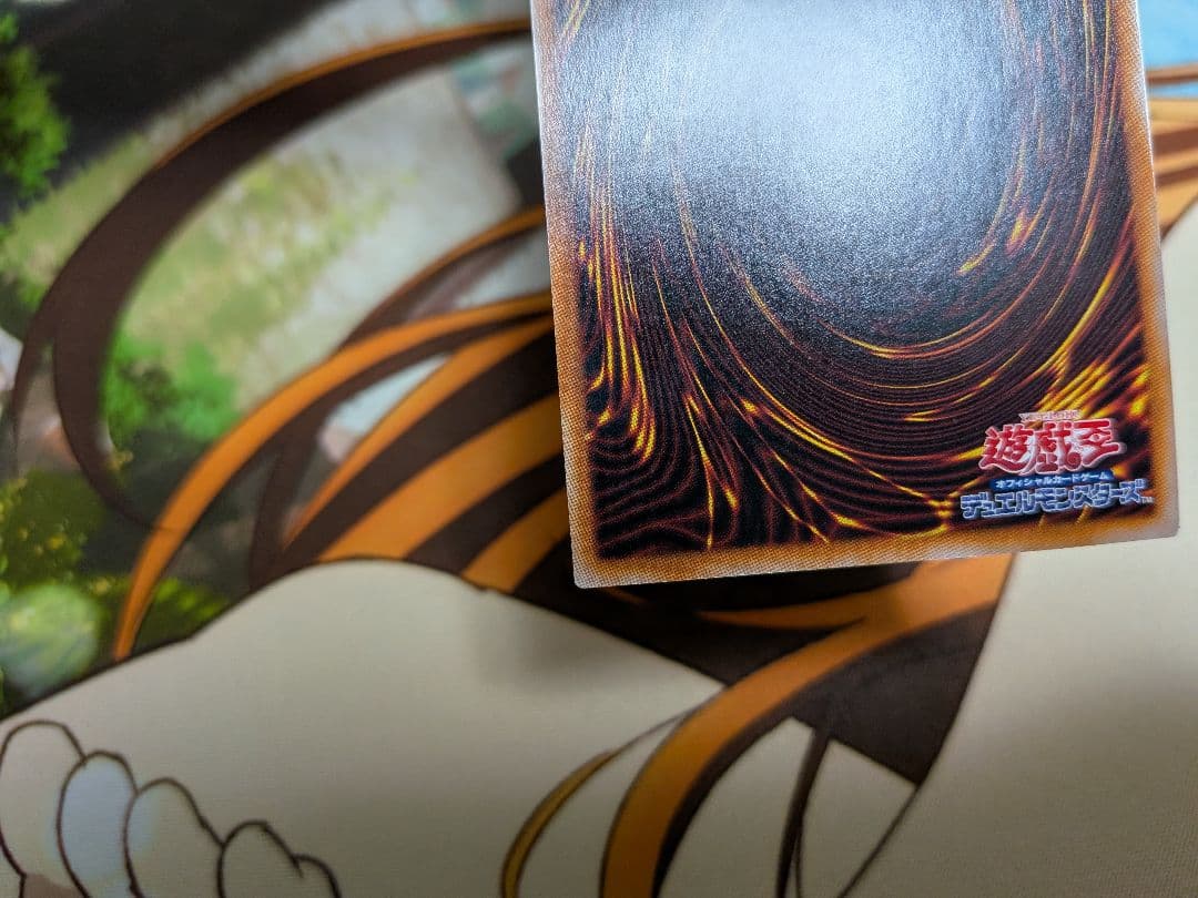 遊戯王　S:P　リトルナイト　25th　QCレア　クオシク　クウォシク