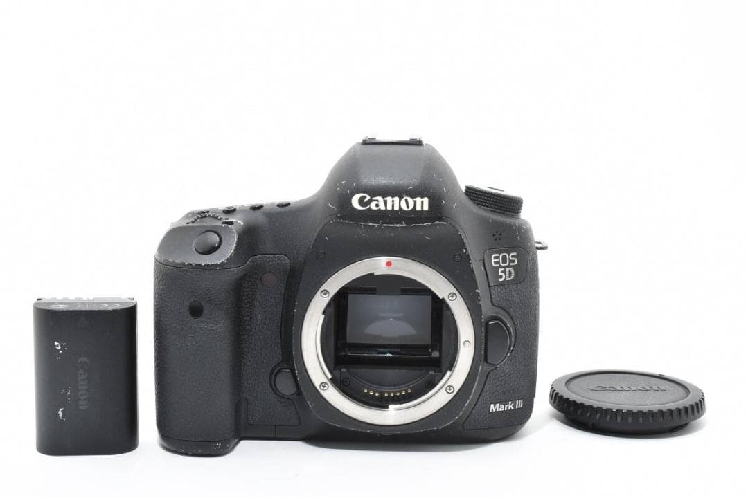 ショット数: 176回 Canon EOS 5D Mark III #1161