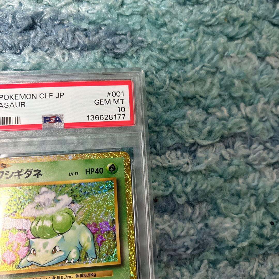 御三家クラシック　PSA10 ヒトカゲ　ゼニガメ　フシギダネ