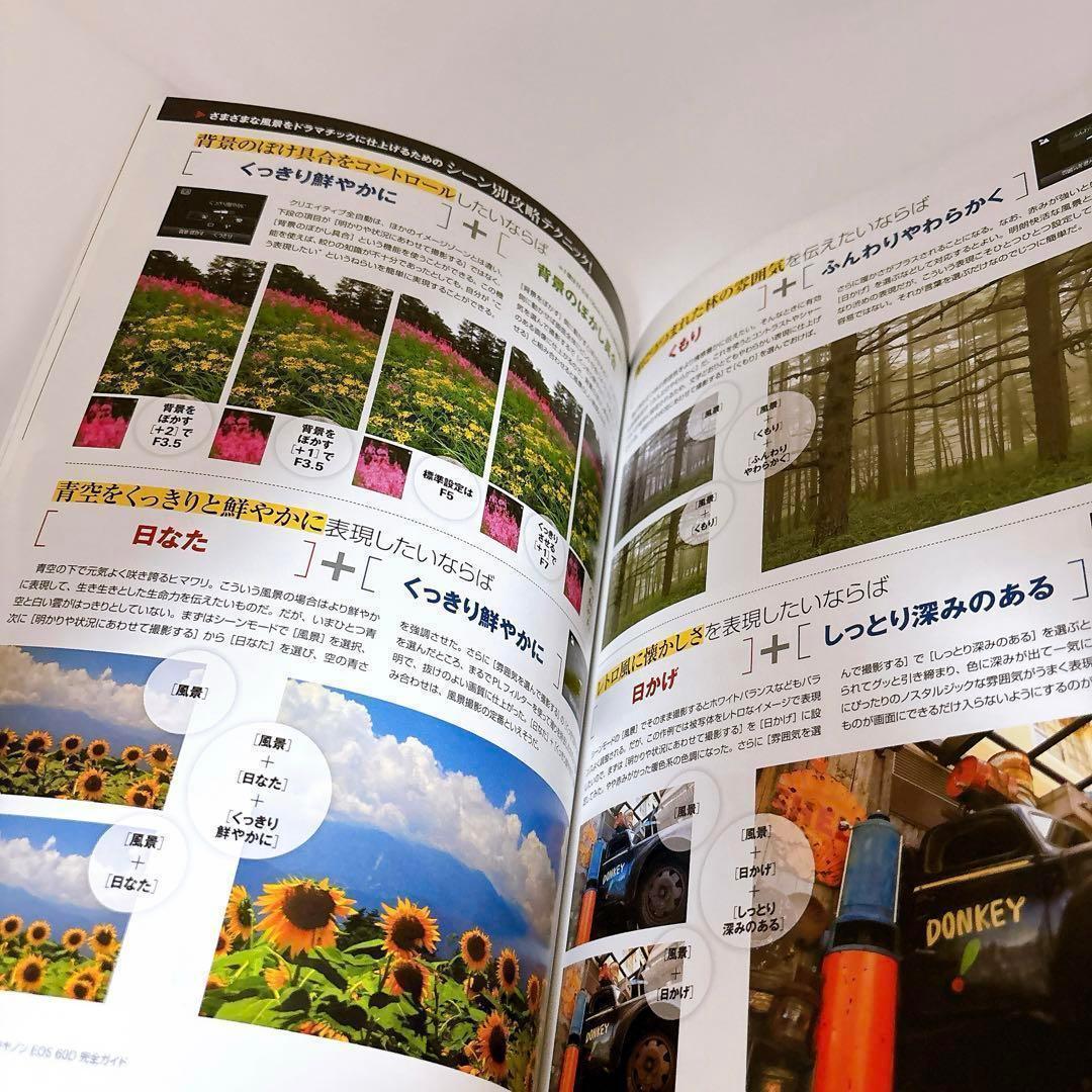 ショット数少ない美品⭐️ハイアマチュアモデル⭐️Canon EOS 60D