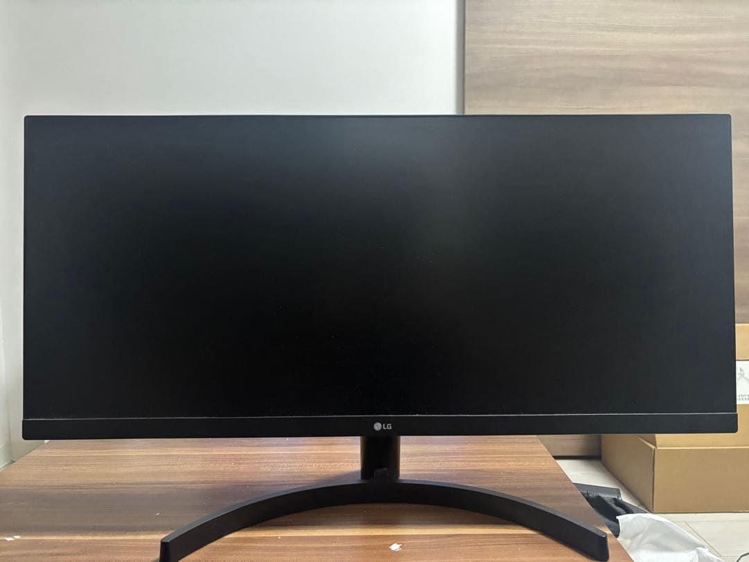 LG 29WL500-Bモニター 本体